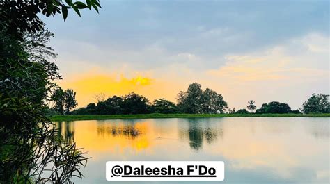 Daleesha Onlyfans Leak