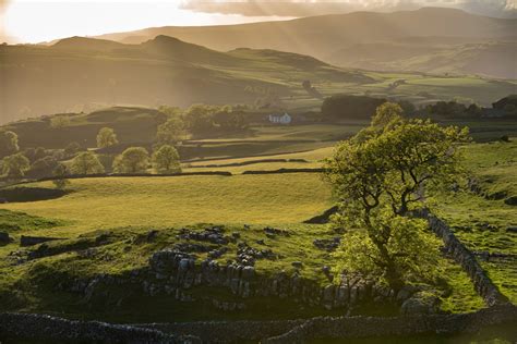 Dales. Things To Know About Dales. 