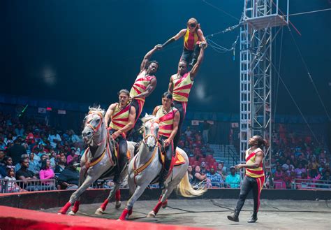 Dallas circus. The colorful multicultural and multinational big-top show returns to southwest Dallas. Expect hip-hop dance and high-flying motorbikes, Caribbean carnival acts and circus clowns, plus acrobats ... 