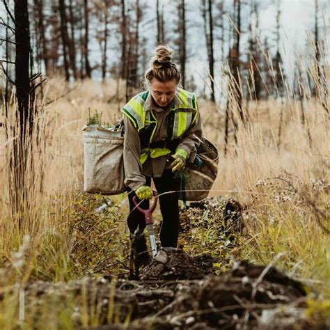 Dallas county conservation jobs.  Apply to Environmental Specialist, Man...