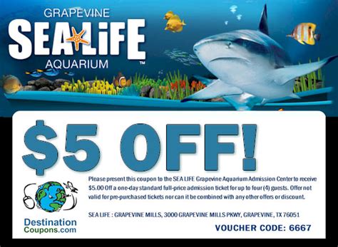 Average Rating: 2.2 Stars. Total Ratings: 48. 💸 Deals. 6. Total Offers. 6. Discover a range of Sea Life Aquariums Coupons valid for 2024. Save with Sea Life Aquariums Promo Codes, courtesy of Groupon. Remember: Check Groupon First!. 