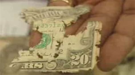 Damage control: What to do with mangled money