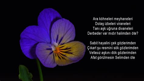 Damar şiirler. 