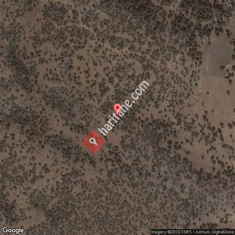 Damlalikaraagac Halı ve Koltuk Yıkama