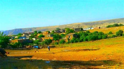 Damlarca Halı ve Koltuk Yıkama