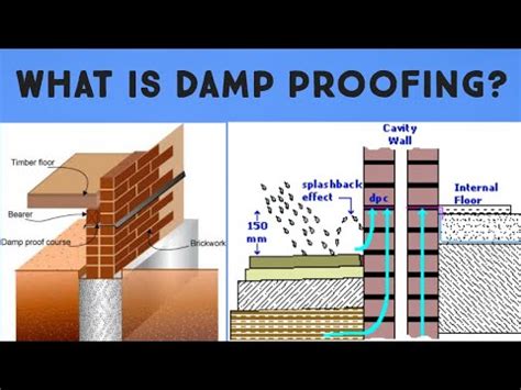 Dampproofer Definition & Meaning - Merriam-Webster