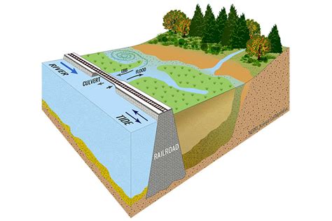 Dams and Sediment in the Hudson (DaSH) NERRS Science …