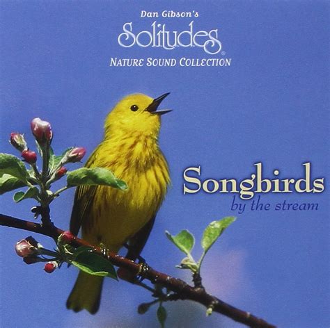 Dan Gibson - Songbirds By the Stream - Amazon.com Music