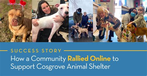 Dan cosgrove animal shelter. The director of the Dan Cosgrove center took to Facebook to explain the different policies shelters across the state have on euthanizing. Jack Kramer, Patch Staff. Posted Thu, Aug 2, 2018 at 9:00 ... 
