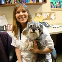 Danada veterinary hospital wheaton illinois. Escutia joined the Danada Veterinary staff in 2015. She graduated from the University of Illinois in 2011 and worked for a practice in the northern suburbs prior to joining the Danada team. She has an interest in feline weight management and feline behavior issues. 