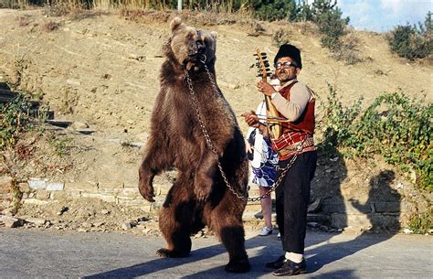 Dancing bear. Things To Know About Dancing bear. 