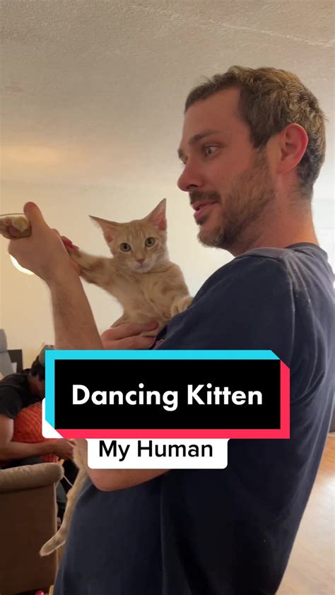 Dancingkitten Onlyfans Leak [CLIP] 🔥 231 Vids