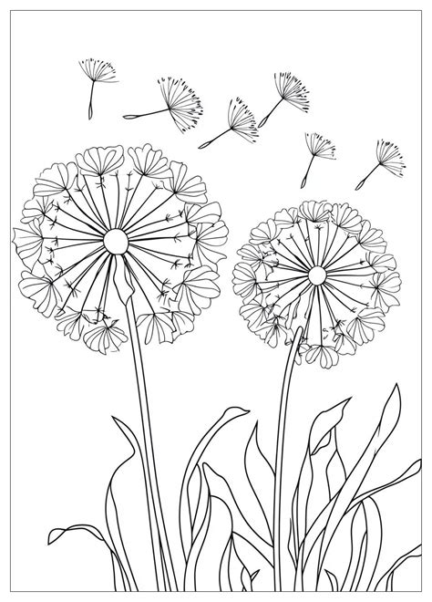 Dandelion Coloring