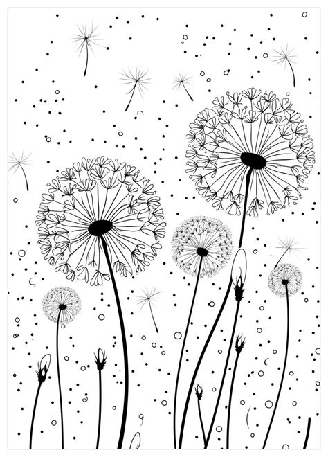Dandelion Coloring Pages