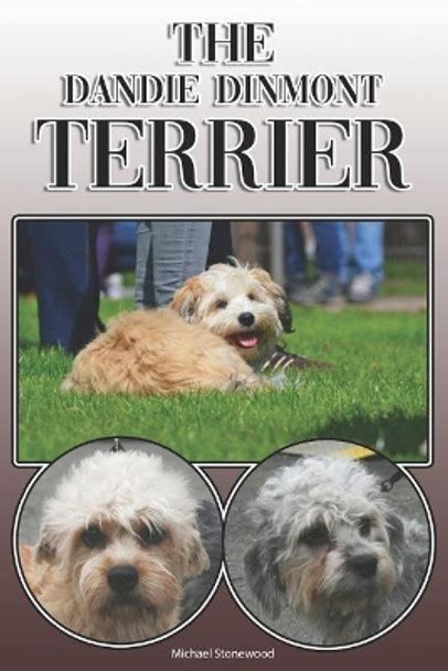 Dandie dinmont terrier comprehensive owners guide. - Tonio kröger, novelle von thomas mann.