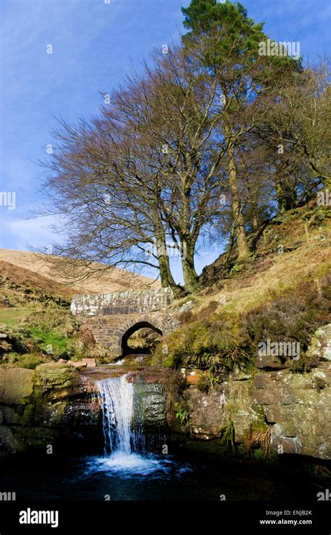 Dane Valley Woodlands - Peak District National Park