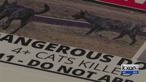Dangerous dogs killing cats in North Austin