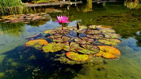 💋 Dani Maciel Onlyfans Leak [HD] 180 Photos