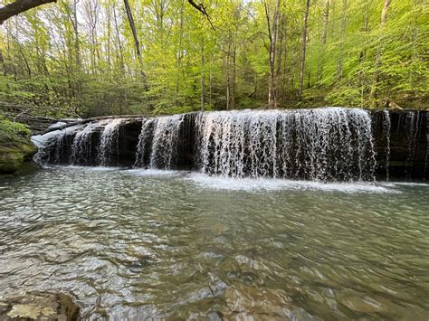 Daniel Boone National Forest - News & Events