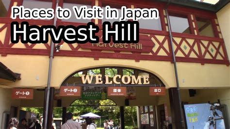 Daniel Hill Video Osaka