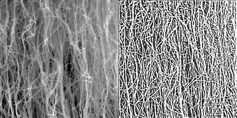 Danielacnt Leaks XxX 245 Videos