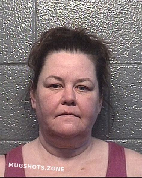 Danville mugshots zone. .  ...