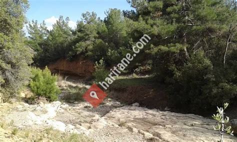 Daricilar Halı ve Koltuk Yıkama