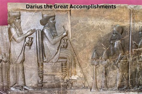 Darius the great contributions