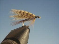 Dark Cahill Wet Fly The Trout Spot