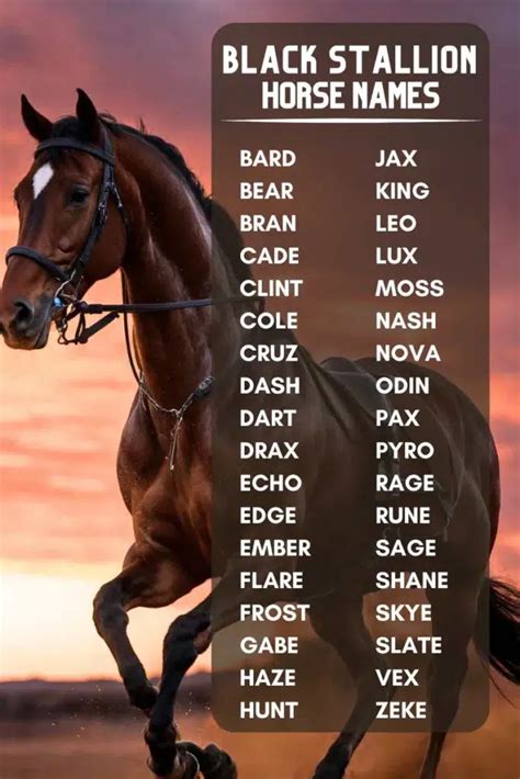 Dark Horse Name Meaning & Dark Horse Family History at …