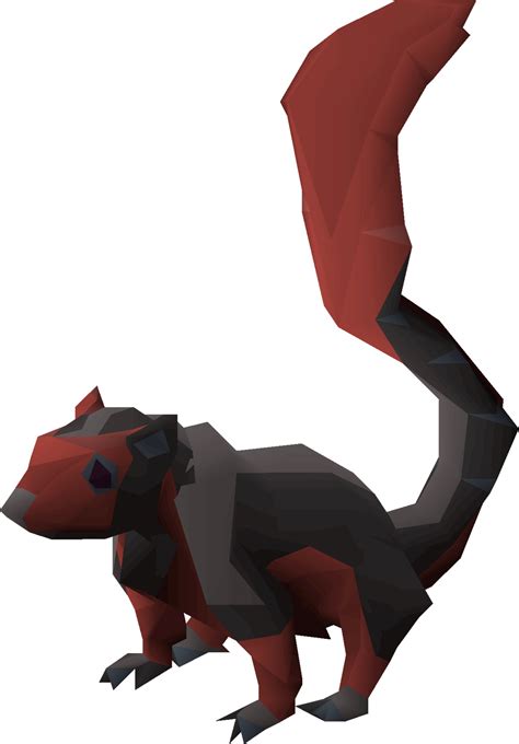 The Giant Squirrel is a cute-looking pet in OSRS. It can be either dark or light color depending on the style you prefer more. To change the appearance, click metamorphosis. The pet can be obtained from completing Agility courses around Gielinor. Skill: Agility; Obtained by finishing Agility courses; Drop Rates: Gnome Stronghold: 1/35,609.