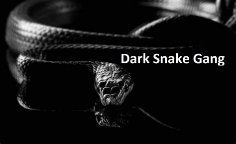 Dark Snake Gang (May 2022) : Everything You Need to Know! Admin-18/06/2022. 0 .... 