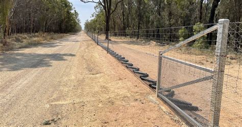 Darling Downs-Moreton Rabbit Board history comes to life in …