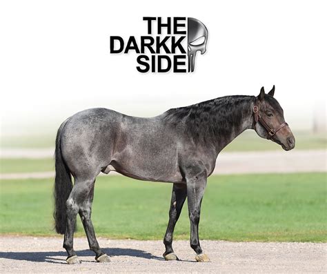 Darthcupcakee @Darkk Leaked [SEX VIDEO] 🍆