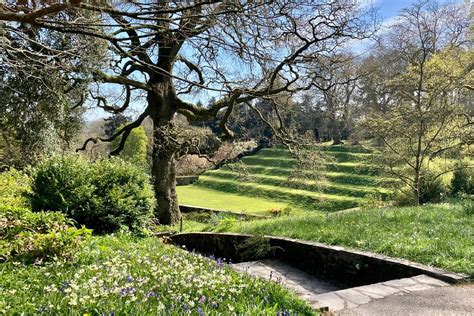 Dartington Trust Gardens 2-for-1 entry - BBC Gardeners World …