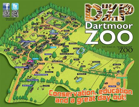 Dartmoor Zoological Park. Plymouth. Set in 33 acres of beautiful woodland with some stunning views of the surrounding countryside and a fantastic collection of animals, Dartmoor Zoo is a unique family day out …