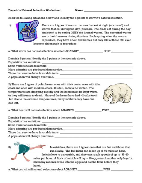 Darwin’s Natural Selection Worksheet Name _____ Date _____ Class __ 1) There are 2 types of worms: worms that eat at night (nocturnal) and worms that eat during the day. 