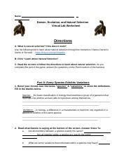 Darwin evolution and natural selection virtual lab worksheet.  Learn more about this natural se...