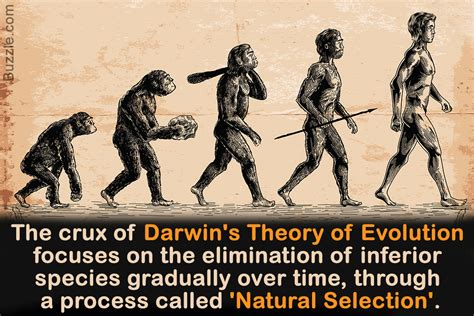 Download Darwinism Refuted How The Theory Of Evolution Breaks Down In The Light Of Modern Science By Harun Yahya