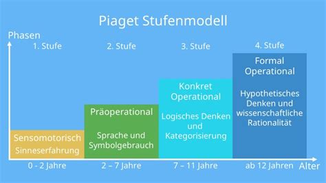 Das Entwicklungsstufenmodell nach Piaget