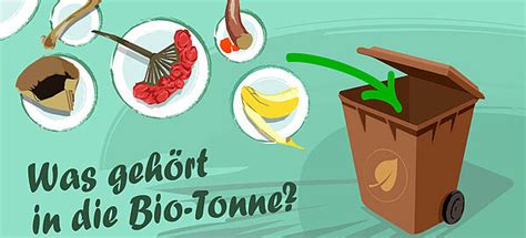 Das gehört in die Biotonne BMUV