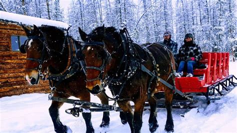 Dashing Thru The Snow Sleigh Rides