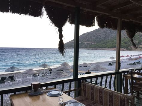 codini.rgarabwor.edu.pl. 