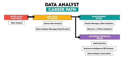 Data Analyst Path Miuul.