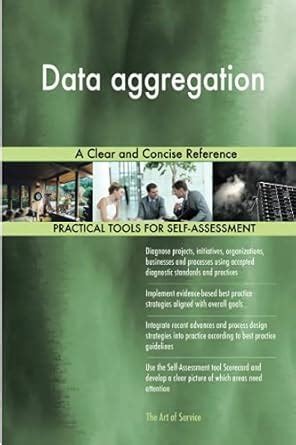 Data Domain A Clear And Concise Reference