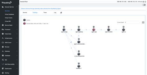 Data Model Apache SkyWalking