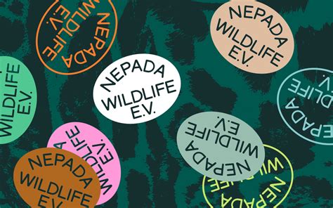 Data Nepada: 手机微信接收的文件存储在哪？ - 知乎 image 1