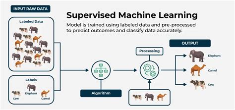 Data acquisition in machine learning.  In supervised learning, the model is trained ...