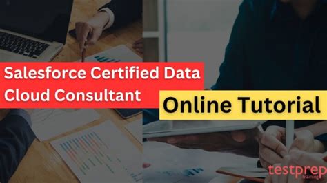 Data-Cloud-Consultant Online Tests