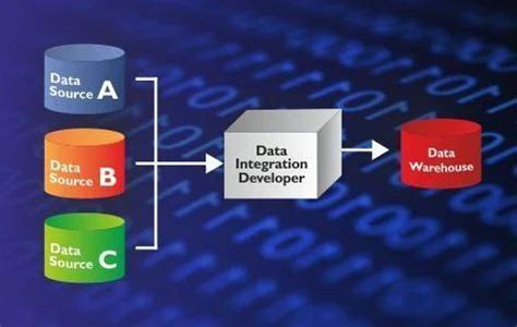 Data-Integration-Developer Buch